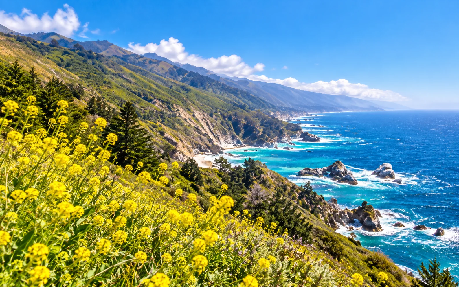 Spring wildflowers above the California coastline, AI-generated illustrative image