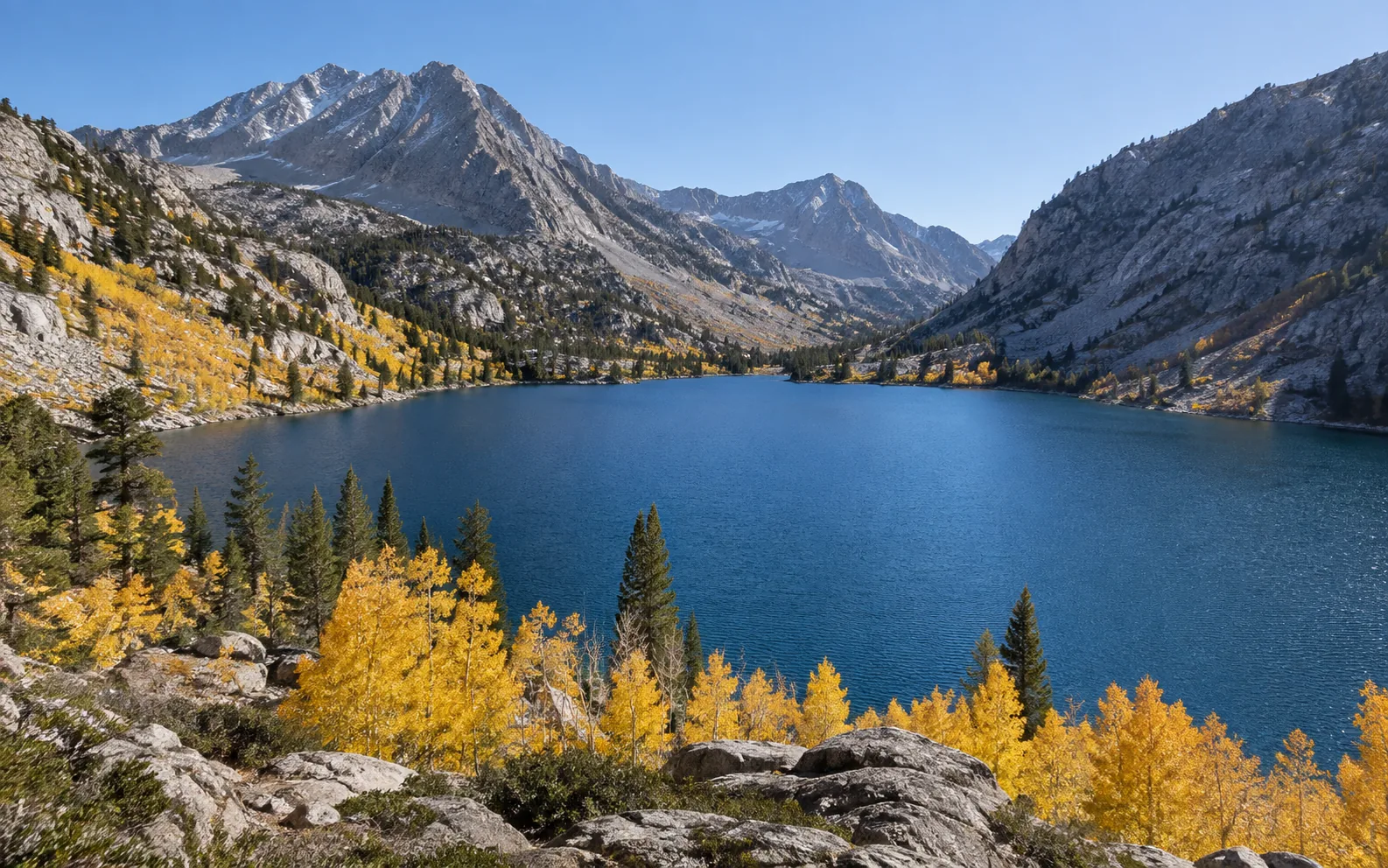 Lake Sabrina surrounded by glowing golden aspen trees