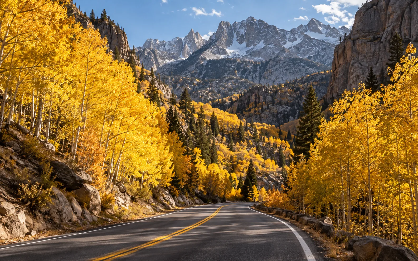 Rock Creek Road winding past bright yellow autumn aspens