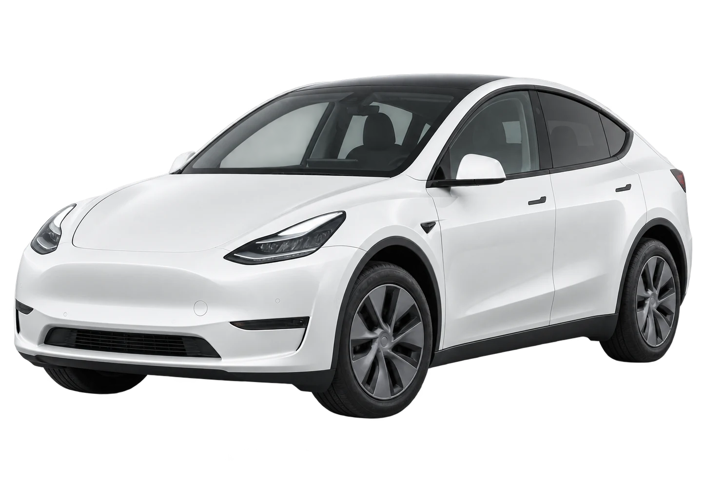 Model Y 标准版