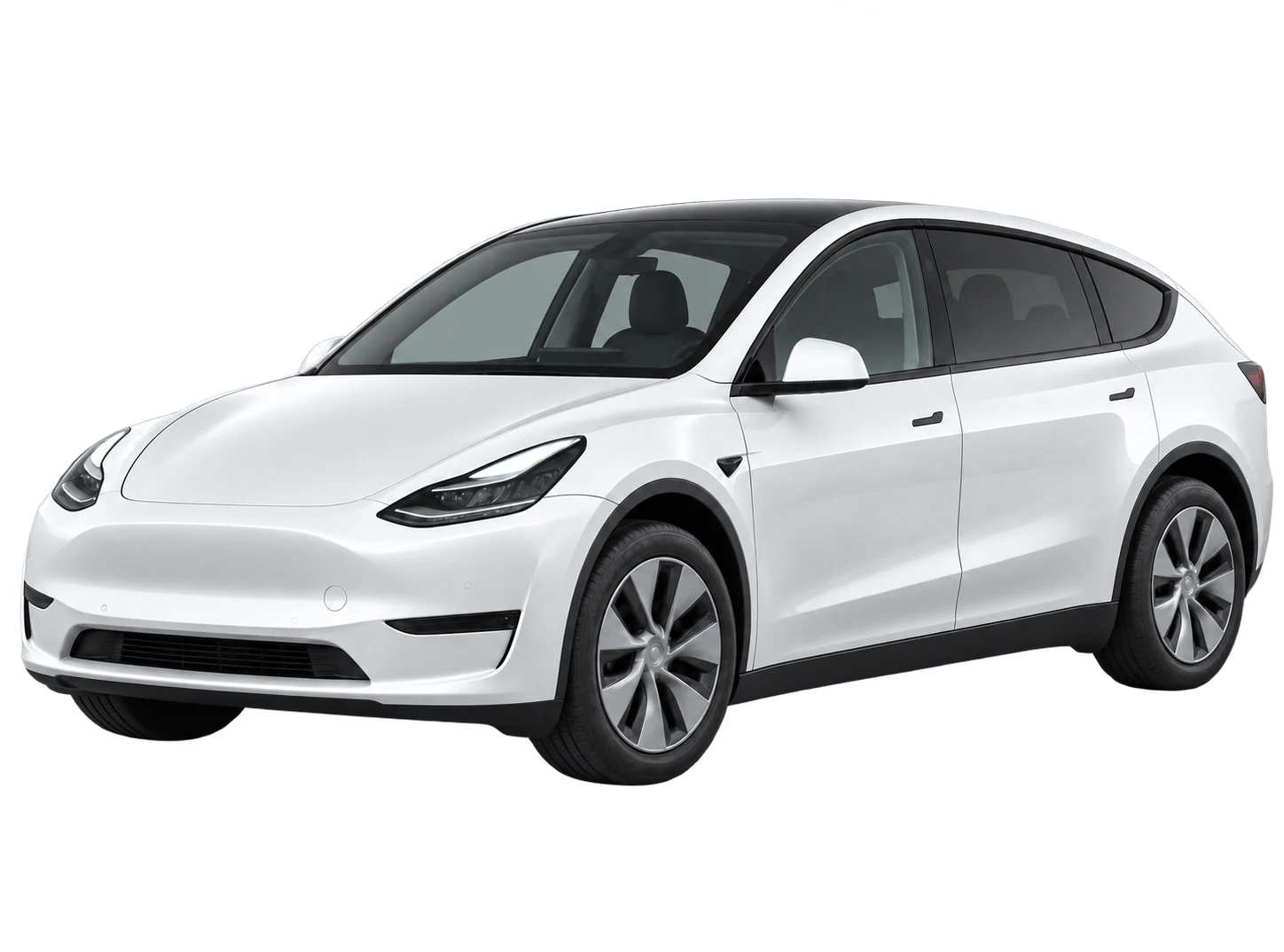 Model Y L